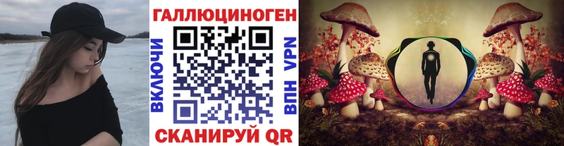 Псилоцибиновые грибы Psilocybe  Иркутск 